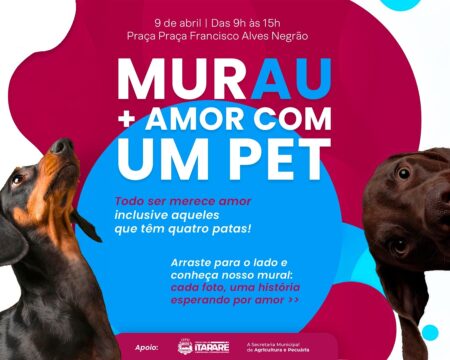 Prefeitura de Itararé promove feira de adoção de cães nesta quinta-feira (09) na Praça Francisco Alves Negrão