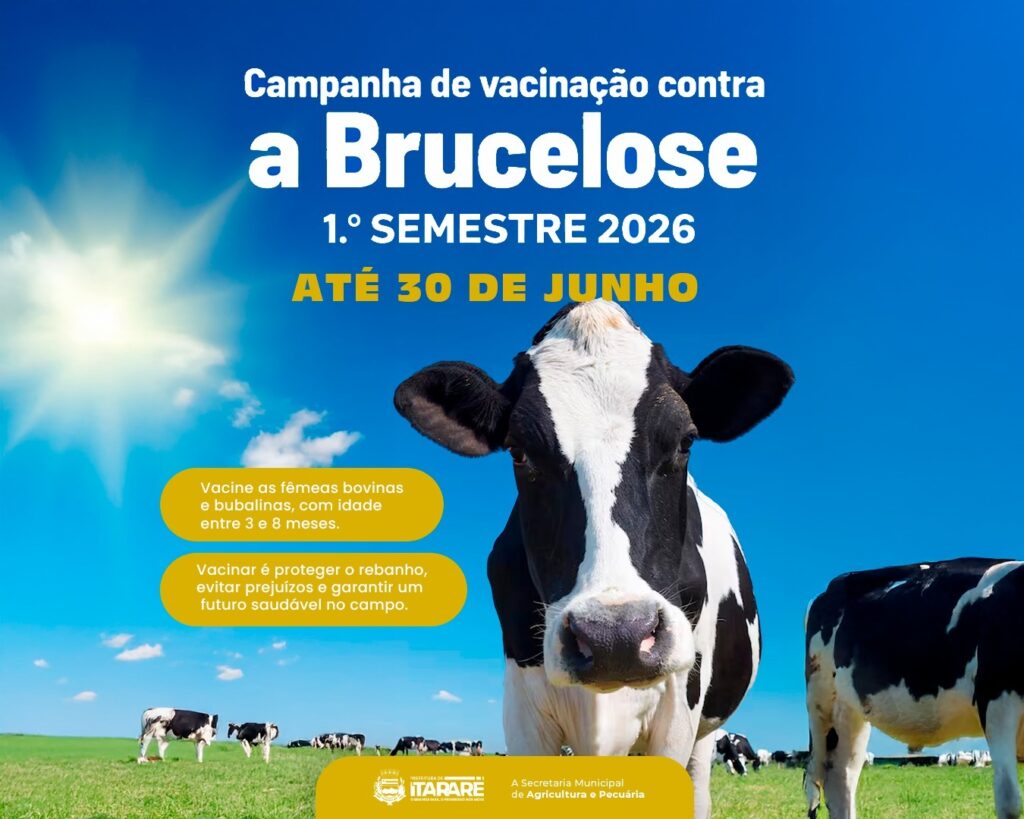 Prefeitura de Itararé reforça importância da vacinação contra a brucelose no rebanho