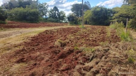 Prefeitura de Itararé (SP) anuncia Reativação da Horta Municipal Prefeitura de Itararé (SP) anuncia Reativação da Horta Municipal