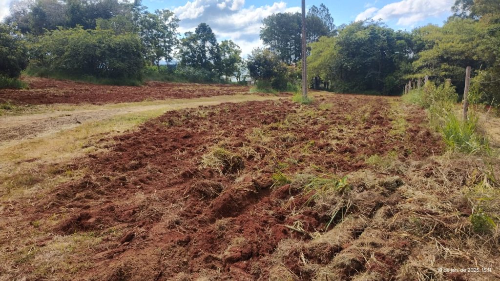 Prefeitura de Itararé (SP) anuncia Reativação da Horta Municipal Prefeitura de Itararé (SP) anuncia Reativação da Horta Municipal