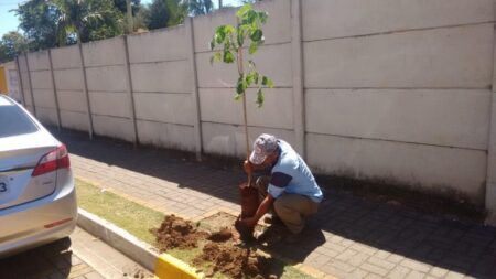 Prefeitura de Itararé (SP) dá início ao projeto piloto ‘Floresta Urbana’