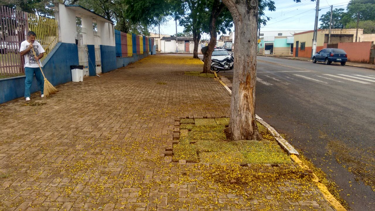 Prefeitura de Itararé (SP) inicia projeto ‘Espaço Árvore’