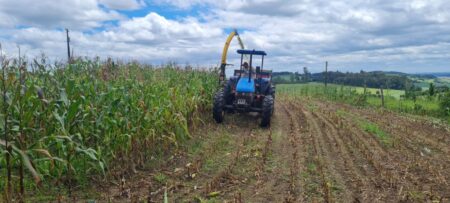 Prefeitura de Itararé (SP) inicia silagem de milho para pequenos produtores