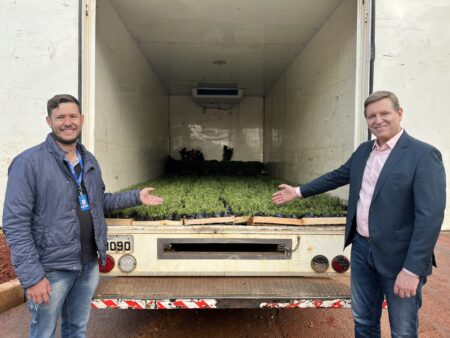 Prefeitura de Itararé (SP) investe em revitalização e sustentabilidade na rua São Pedro