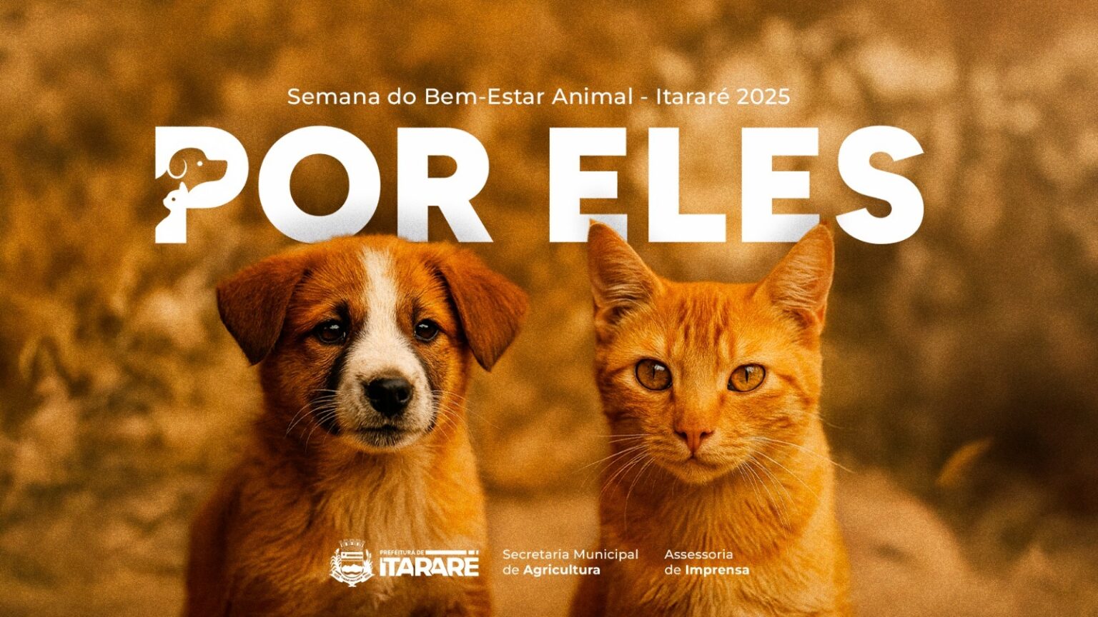 Prefeitura de Itararé (SP) lança documentário e destaca avanços históricos na causa animal