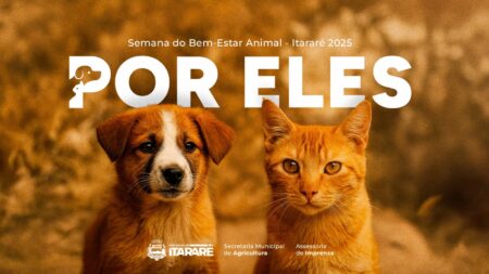 Prefeitura de Itararé (SP) lança documentário e destaca avanços históricos na causa animal