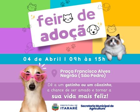 Prefeitura de Itararé (SP) promove feira de adoção de animais nesta sexta-feira (4)