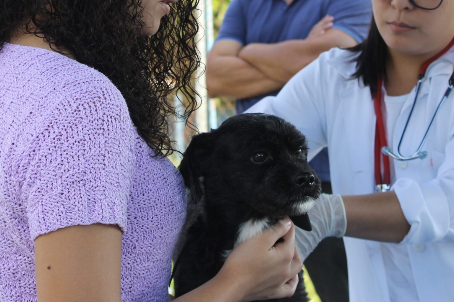 Prefeitura de Itararé (SP) realiza atendimento veterinário gratuito para cães e gatos nesta quinta (22) Prefeitura de Itararé (SP) realiza atendimento veterinário gratuito para cães e gatos nesta quinta (22)