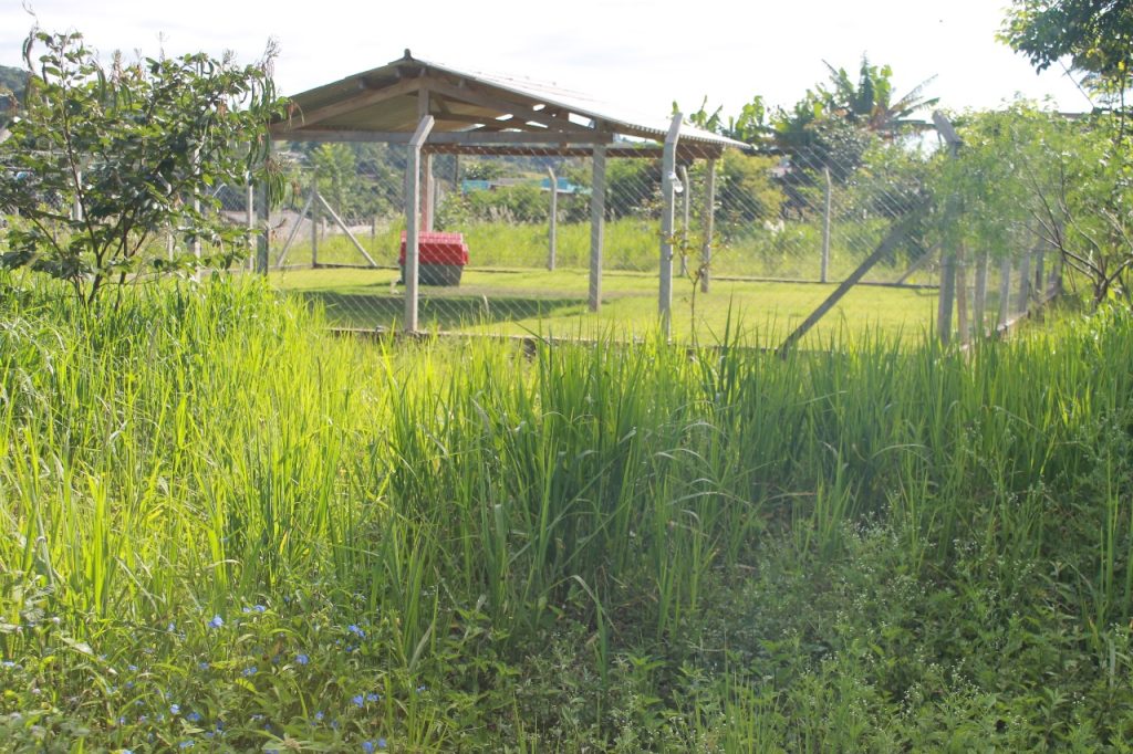 Prefeitura de Itararé (SP) realiza limpeza na Unipa