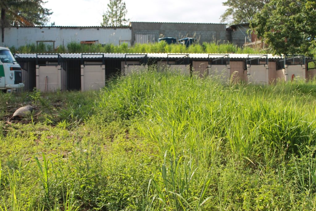 Prefeitura de Itararé (SP) realiza limpeza na Unipa