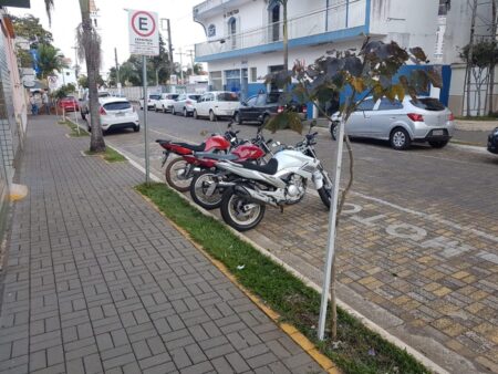 Prefeitura de Itararé (SP) realiza manutenção no piloto de floresta urbana Prefeitura de Itararé (SP) realiza manutenção no piloto de floresta urbana
