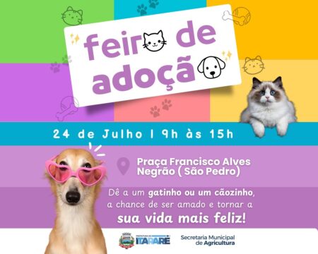 Prefeitura de Itararé (SP) realiza nova feira de adoção de cães e gatos nesta quinta-feira (24) Prefeitura de Itararé (SP) realiza nova feira de adoção de cães e gatos nesta quinta-feira (24)