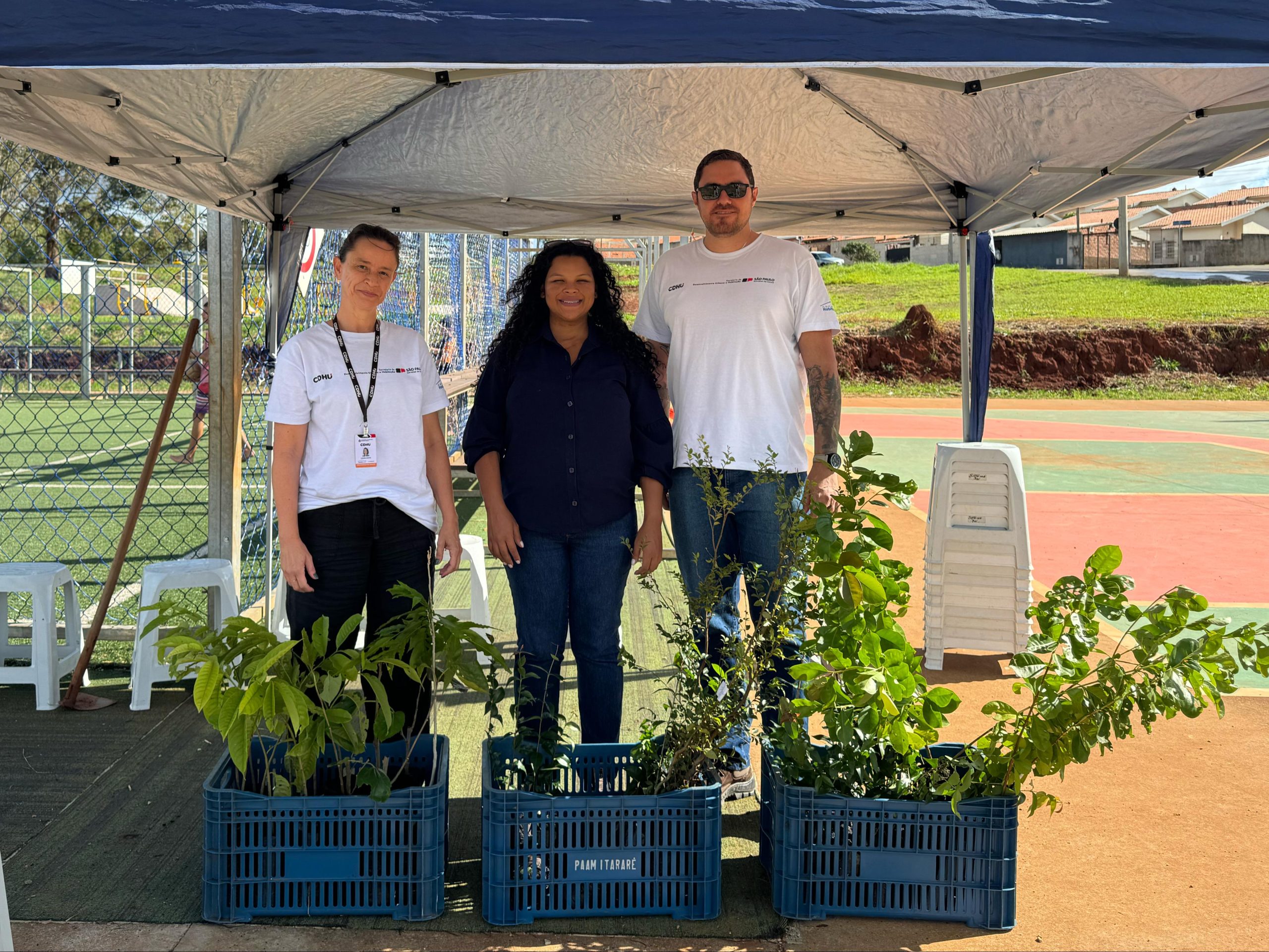 Prefeitura de Itararé (SP) realiza plantio de árvores frutíferas nativas em parceria com a CDHU pelo Programa Pomar Urbano