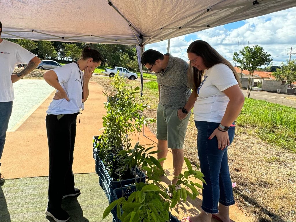 Prefeitura de Itararé (SP) realiza plantio de árvores frutíferas nativas em parceria com a CDHU pelo Programa Pomar Urbano