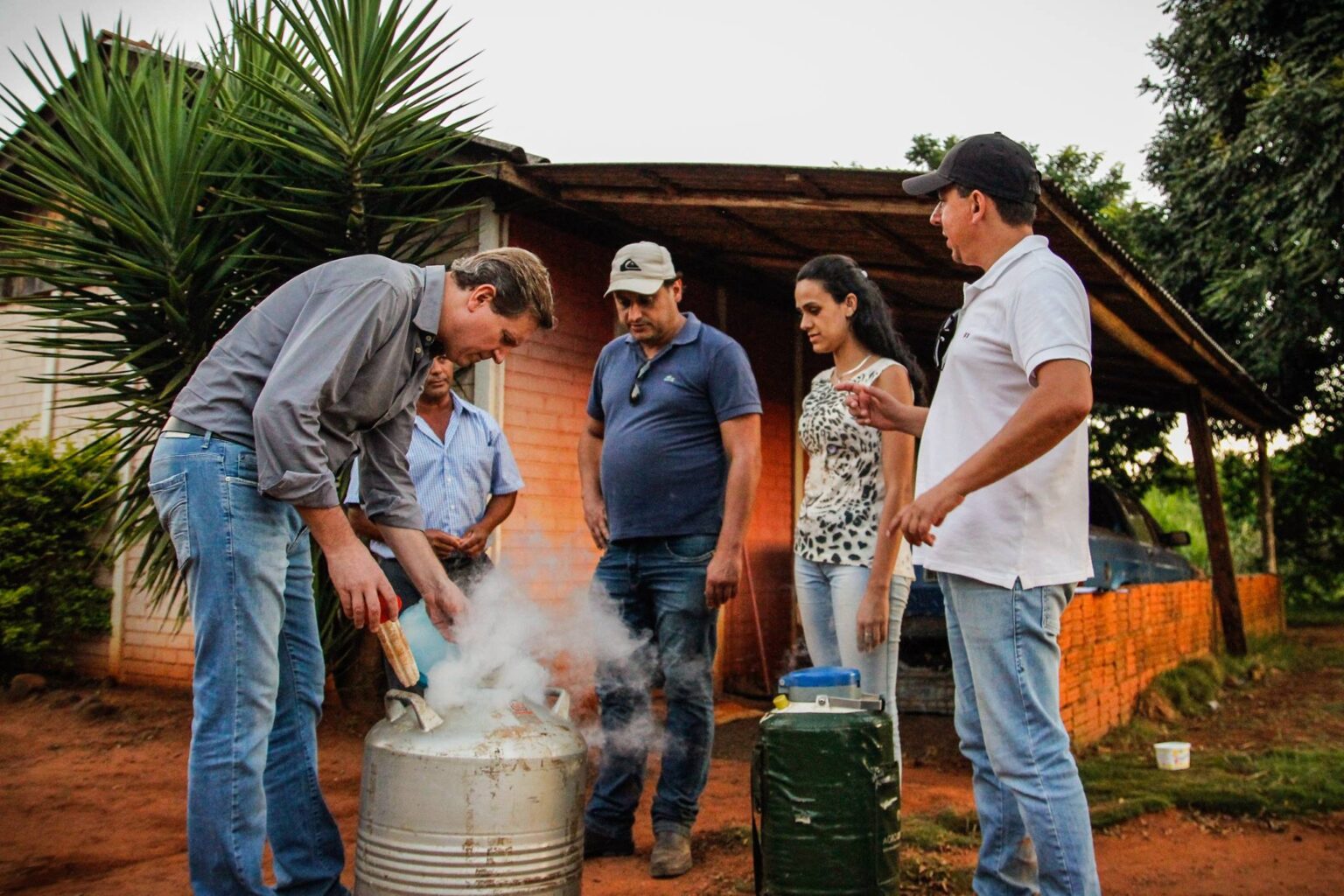 MELHORAMENTO