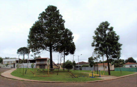 pinheiros