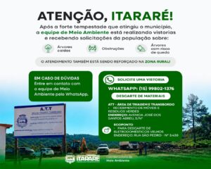 Prefeitura orienta população sobre avaliação de árvores após tempestade